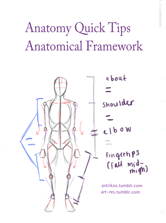 masters of anatomy tumblr masters of anatomy tumblr