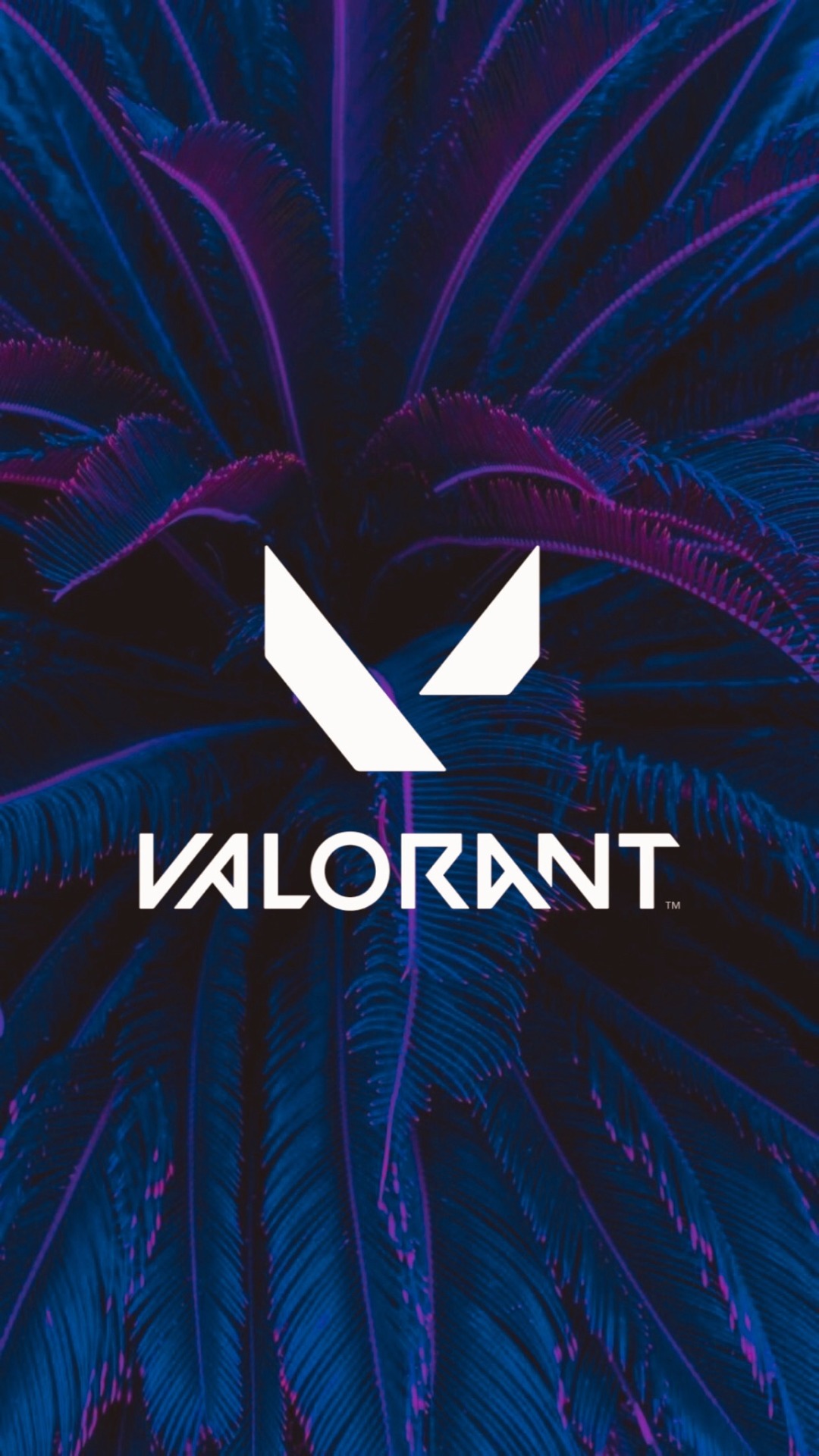 Featured image of post Valorant Background Minimalist Tons of awesome valorant wallpapers to download for free