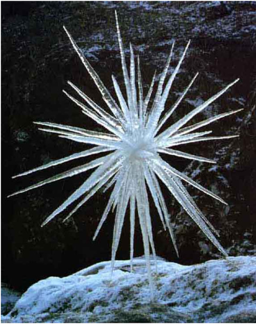 conflictingheart: Andy Goldsworthy,  meditative ice sculptures An artist who makes “earthworks”, he collaborates with nature to create sculpture that is serene and meditative, reliant on time and weather, and as much about the material as it is about