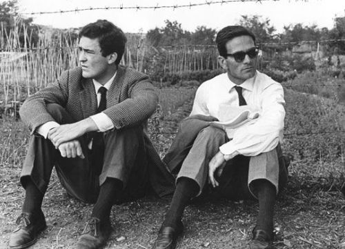 “I found out that Pasolini taught me a lot. It was, especially, the kind of respect that he ha