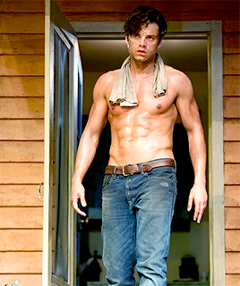 Porn sebastianstxns:  Sebastian Stan in Picnic photos