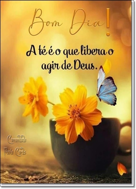 c6881d13c99bcf789ef1d1ecf7d50df52091bddf