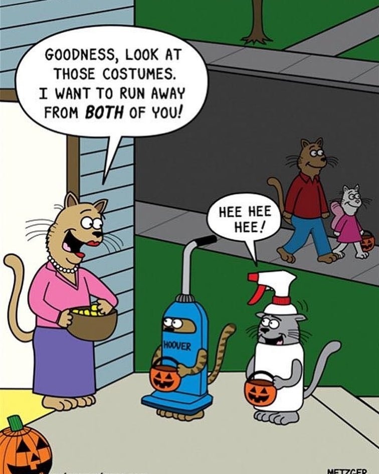 herepet:  Source: instagram.com, cat.member 👻☠️😈🎃 . Follow @cat.member