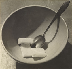erudite-eye:  André Kertész. Bowl with