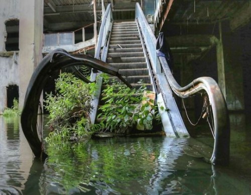 kvltmvtherfvcker1349mvrdermvsic:abandonedandurbex:The New World Mall, in Bangkok, was closed in 1997