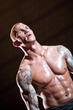 thedustyfinish:  Randy Orton 