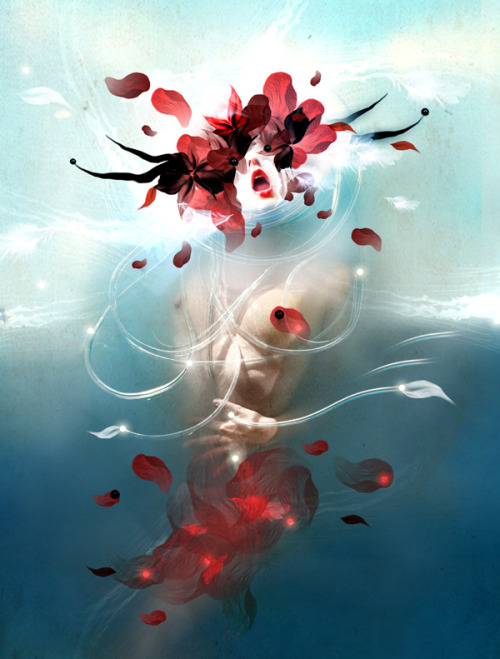 rfmmsd:Illustrator & Artist:VALENTINA BROSTEAN