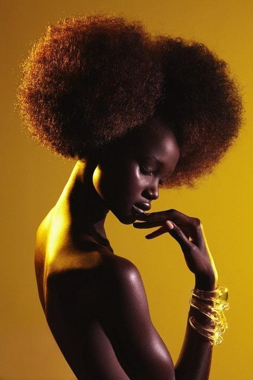 curly-essence:  black—excellence:  Black Excellence  http://curlyessence.com/ 