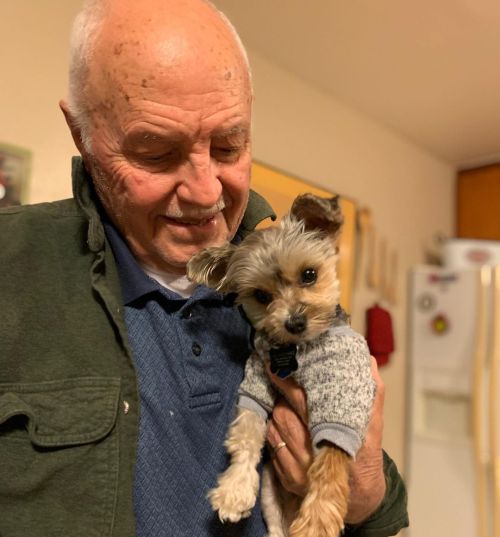 His cute tilt of his little head, inquisitive. 🥰 #pepetheyorkie #yorkie #yorkiesofinstagram  https://www.instagram.com/p/CYYF9G8rM0rhWS91QUXQmCa4e7gIVKT6UBSiO40/?utm_medium=tumblr