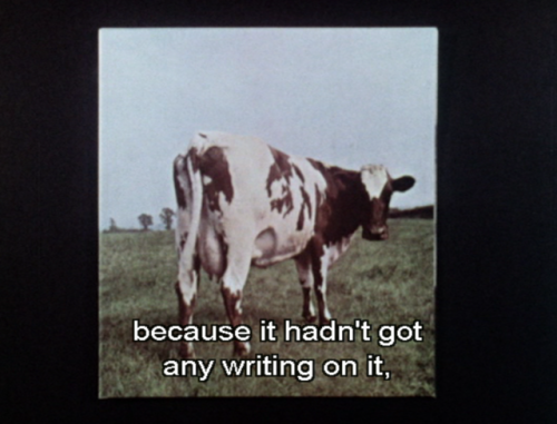 nedison:The wisdom of Storm Thorgerson and the artistry of Aubrey Powell on Atom Heart Mother.