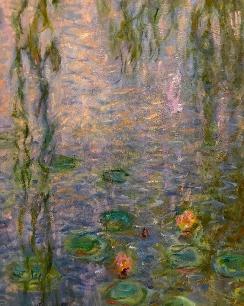 inividia:Claude Monet Les Nymphéas : Le Matin clair aux saules c.1915-1926Paris, Muséede l'Orangerie