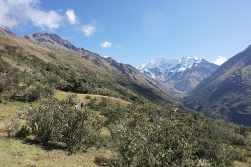 Day 1 of the Salkantay trekHiking up to Soraypampa from Challacancha with views south (#1) and north