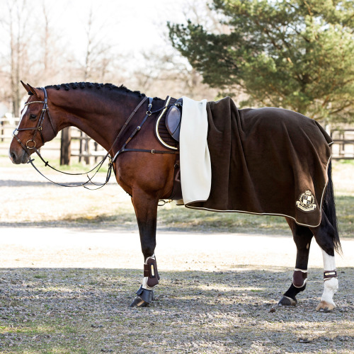 brazilianshowjumper:  Hooks has the best models (x)