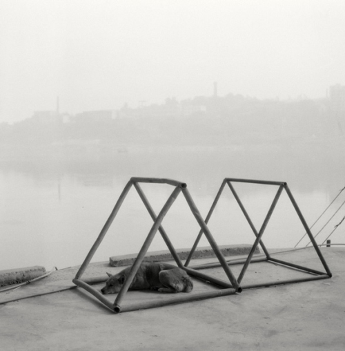 mpdrolet:  From Going Home  Muge 