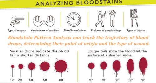 vanesa: Crime Scene Science: The Modern Methods for Solving Crimes (via themostgirlishotakuever) 