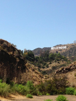 demonico:  Hollywood Hills 04.26.13