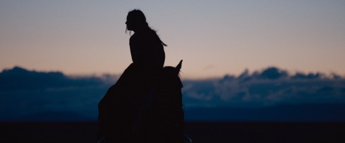 The Homesman  [ 2014 ]Dir:  Tommy Lee JonesDoP:  Rodrigo PrietoFULL POST (60x - 1080p screencaps)