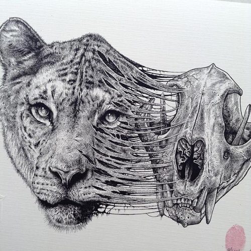 &ldquo;Lion, Paul Jackson, sketch pen, 2015&rdquo; on /r/Art http://ift.tt/1KGae0P