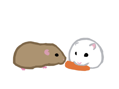 @timebird84 requested I draw a hamster. Joke’s on you I drew two hamsters. Hahaha gottem