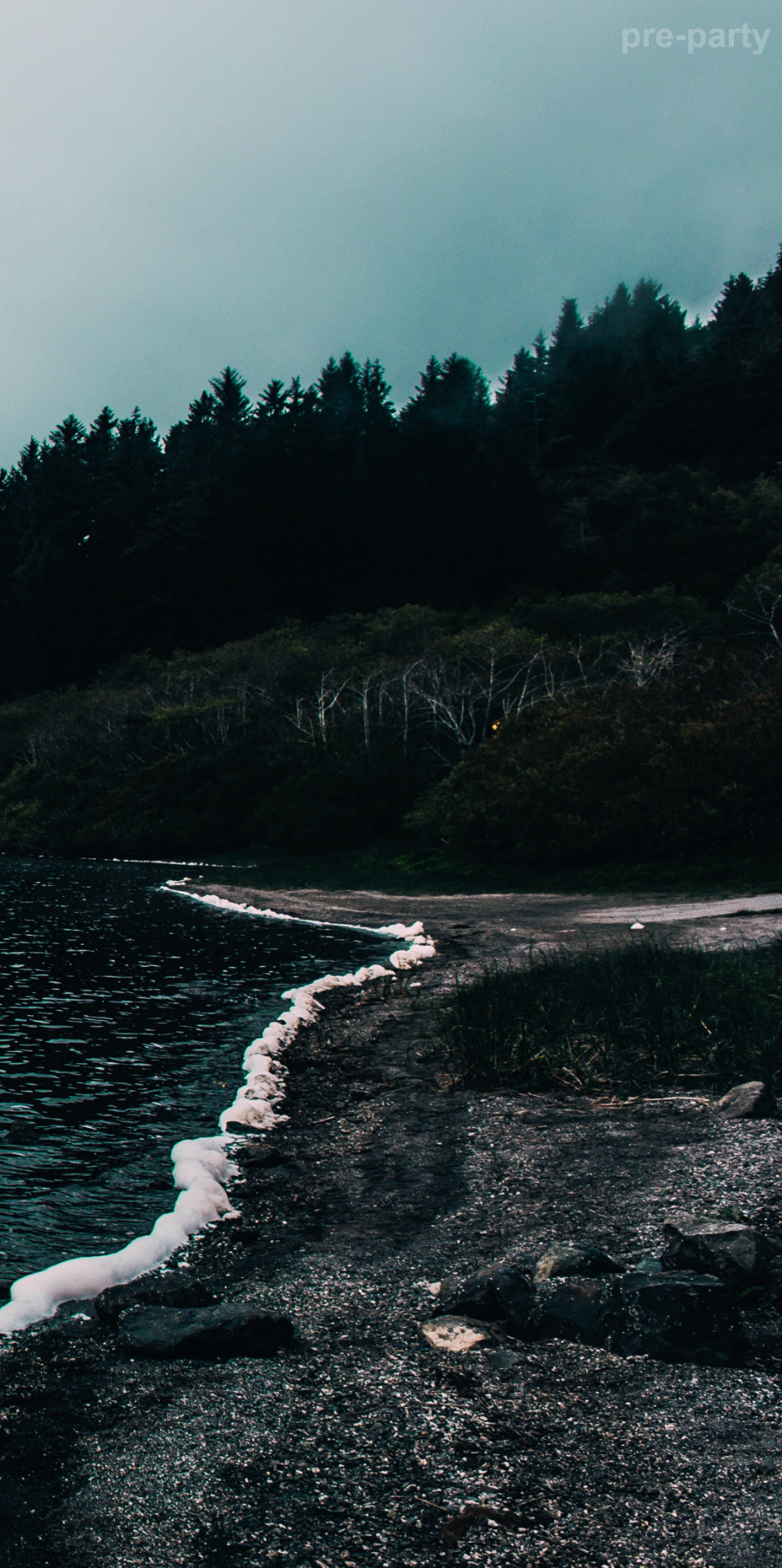 k14n - ♔