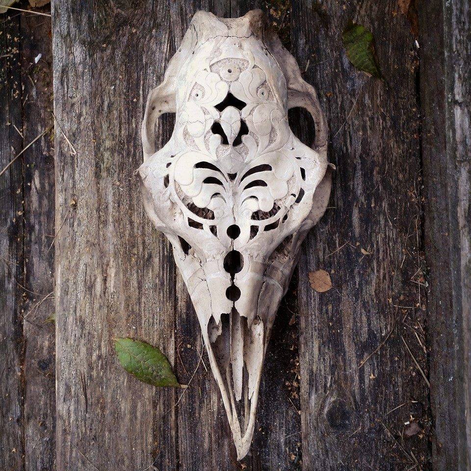 skull-a-day:  Swedish Skull Art from Hanna Hasse Bergström