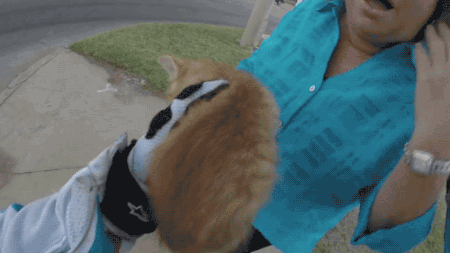 gifsboom:  Video: Motorcyclist saves kitten on intersection 