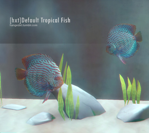 [hxt]Default Tropical FishMust Need Spa DayEA MeshDefault Object*Don&rsquo;t re-upload / edit or