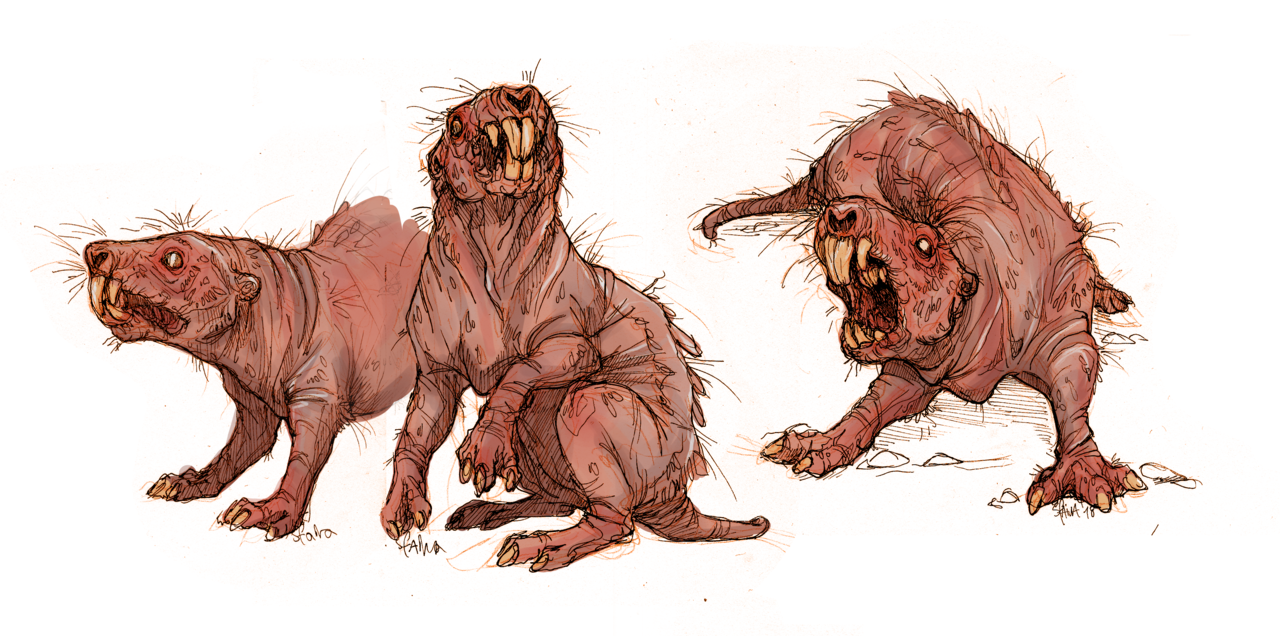 Sfaira — Molerats sketches as practice before getting to...