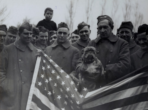  Lions and tigers and bears - oh my! Throughout history, many military regiments have adopted mascot