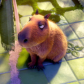 Porn Pics deweyduck:  capybara friends in encanto ✨💞