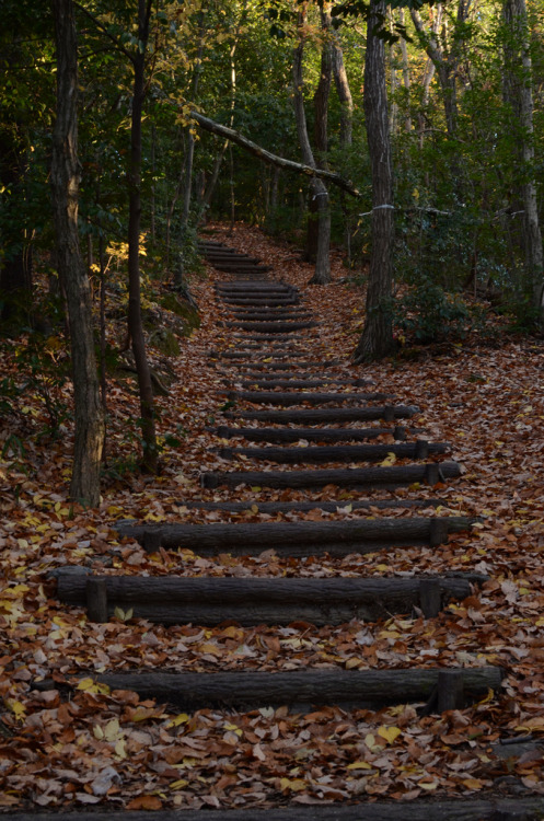 Autumn Path - Kyoto (by Un automne au Japon)
