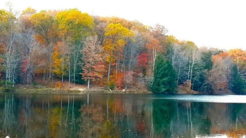 fuxit:  My aunt sent me these from her hike, I miss Ohio during the fall, it’s so beautiful😟🙊 