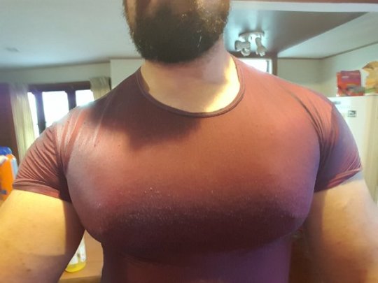 Porn Pics Stuff I Know About Training: Chest