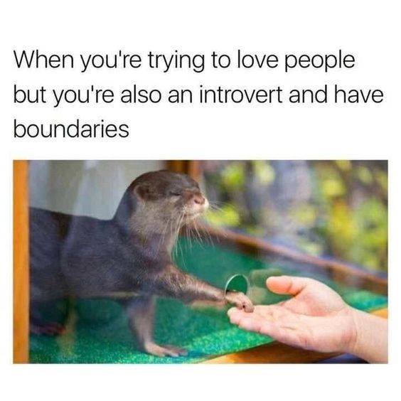 introvertunites:  If you’re an introvert, follow us @introvertunites​