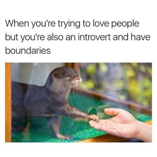introvertunites:  If you’re an introvert, follow us @introvertunites​