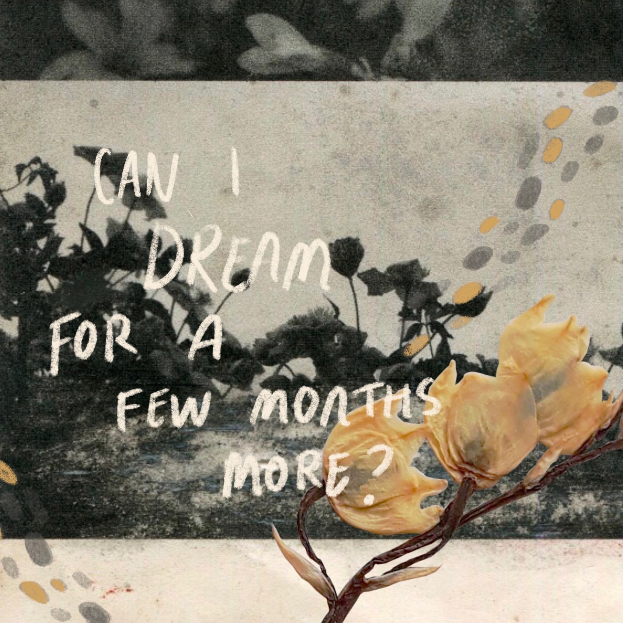 pink brave lyrics pink brave lyrics