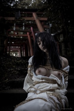 hajimekinoko:Shibari in the shrine