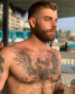 redbeardy: Ink, pecs and fur.