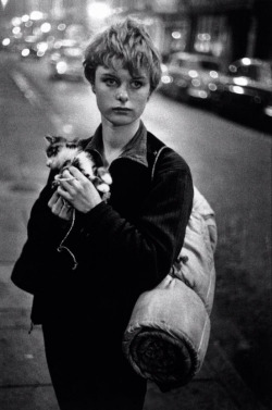 moment-japan:Girl holding kitten, London 1960