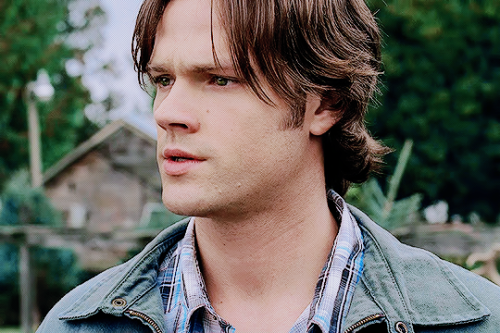 spnsamwinchester