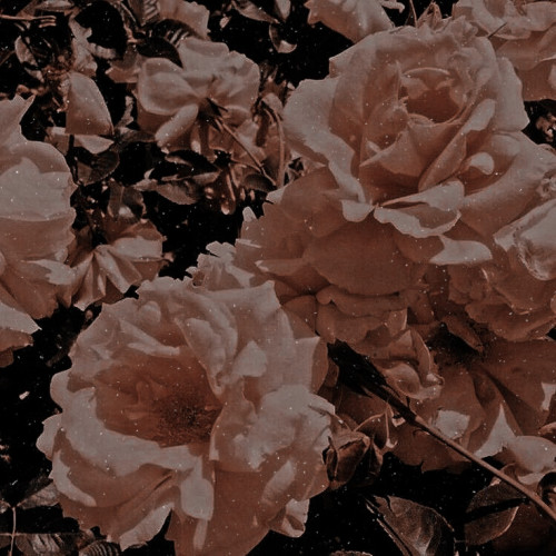 imsogifull - 𝗚𝟏's ɢɪʀʟ ۰ ⸂ぬ ࣪˖ ⋆ ࣪ 🕷 !