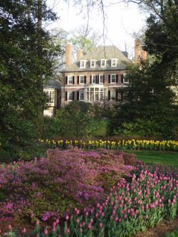 classypeakebay:  thecolonial:  wonderfulpalmettolife:  thecolonial:  this home, in Baltimore’s historic Guilford neighborhood, was modeled after Westover Plantation, and backs to Sherwood Gardens - one of the country’s most famous tulip gardens  (via