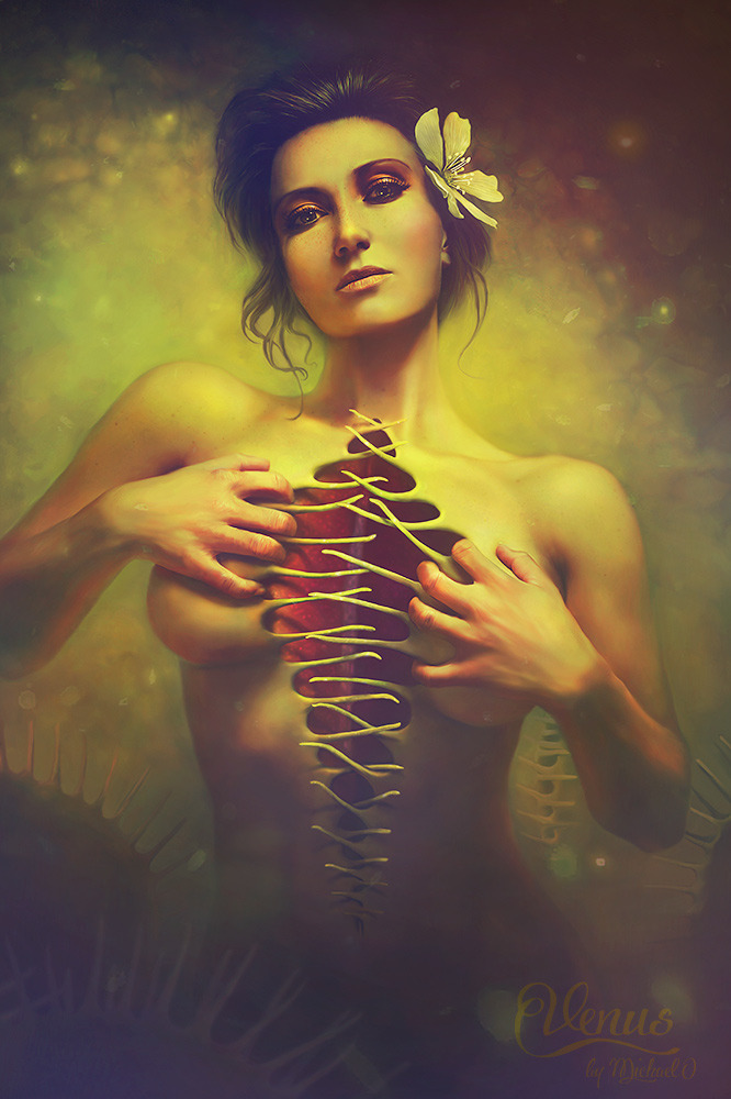 finest-cg-art:  Venus by MichaelO 