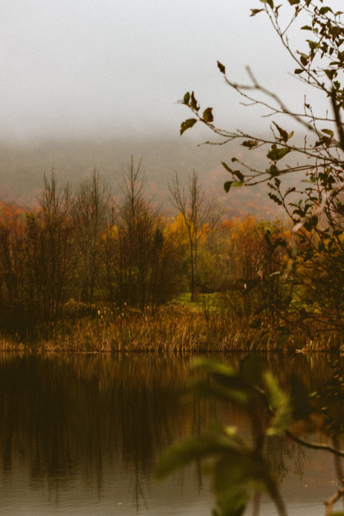 rabbitinthemeadow:The ghosts that wander these old back-trails // Part 3