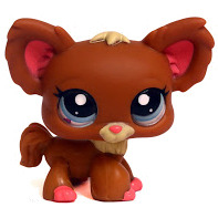 Brown Dog Lps ^__^ 