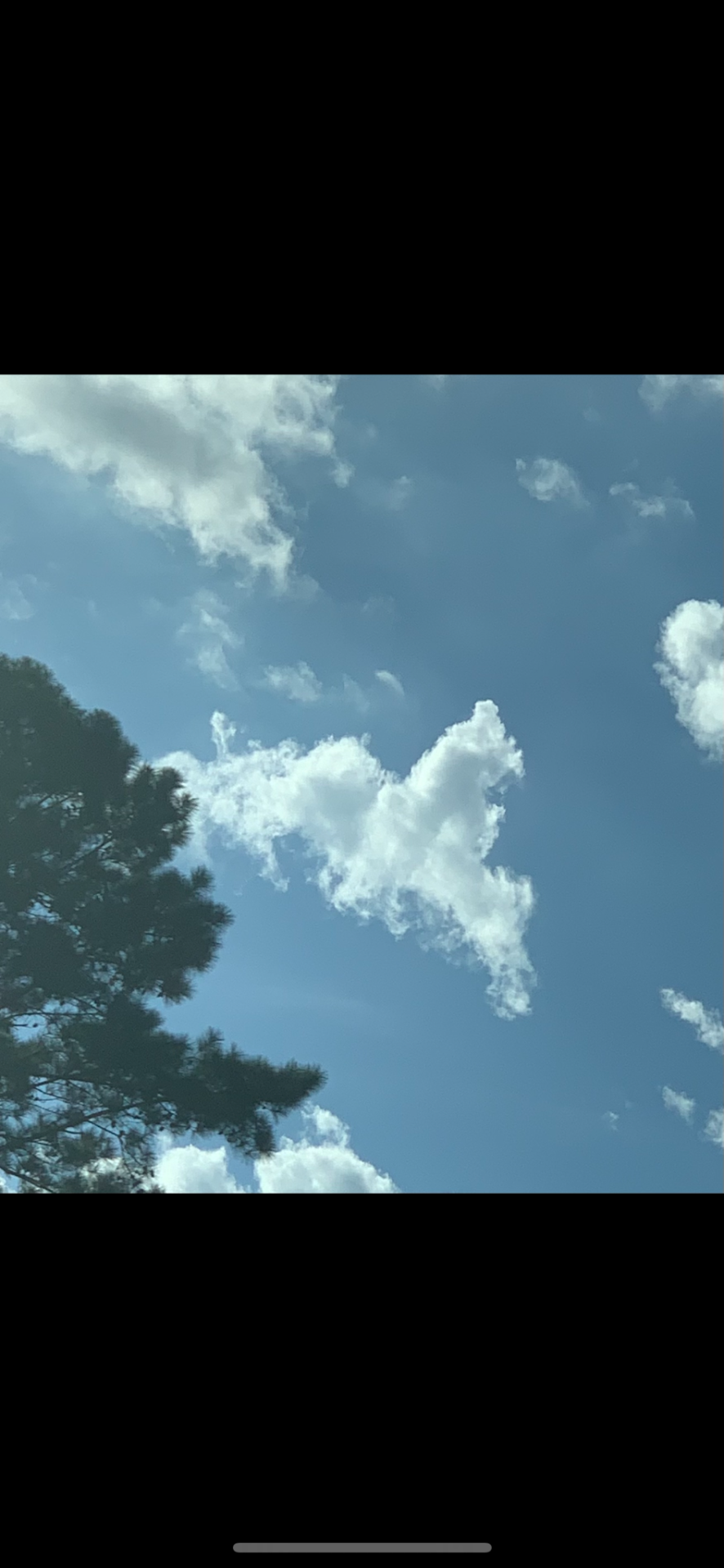 Cloud Shapes!
