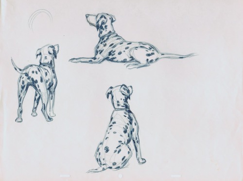 myrobotlandlord: Deja View: Dalmatians It is always interesting to see what kind of research was d