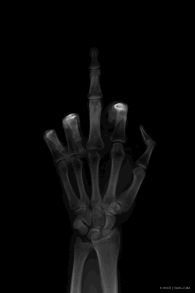 Middle Finger funny HD phone wallpaper  Peakpx