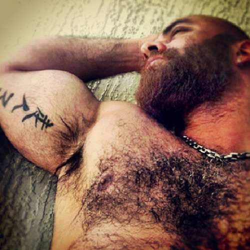 hairybehrlover: