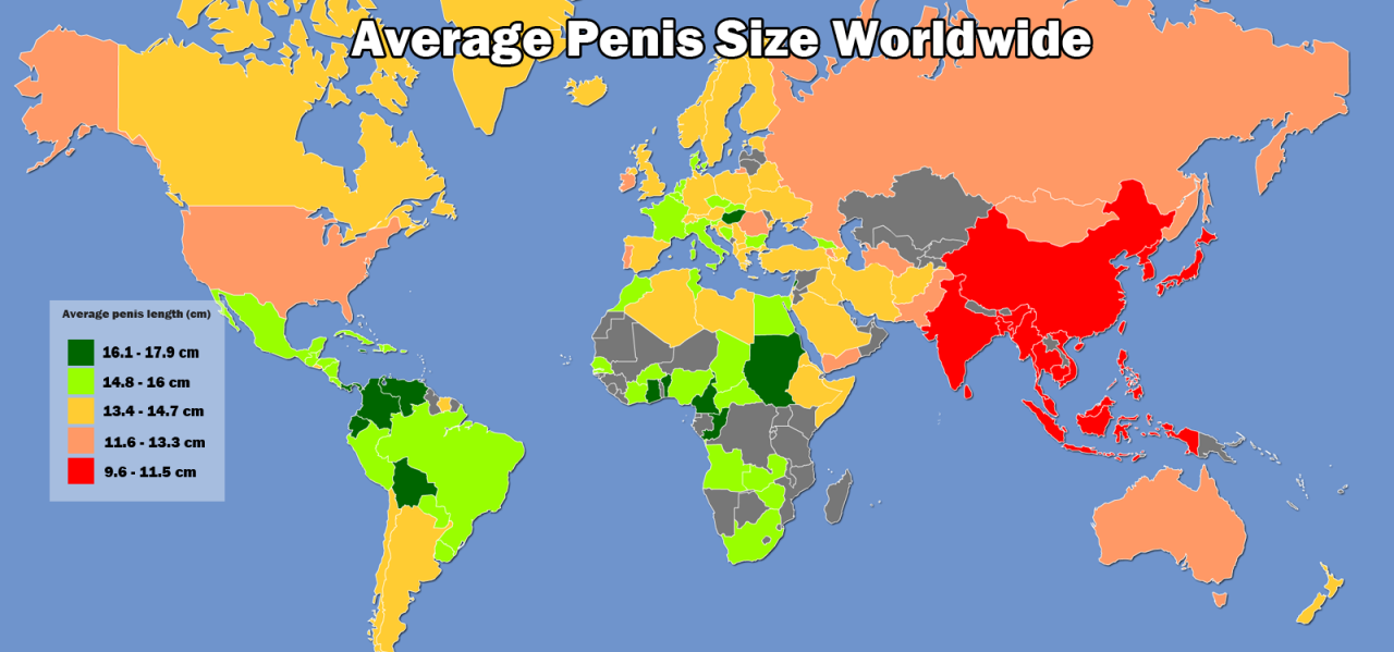 childjunior:  dongstomper:  mapsontheweb:  Average size of human male genital organs